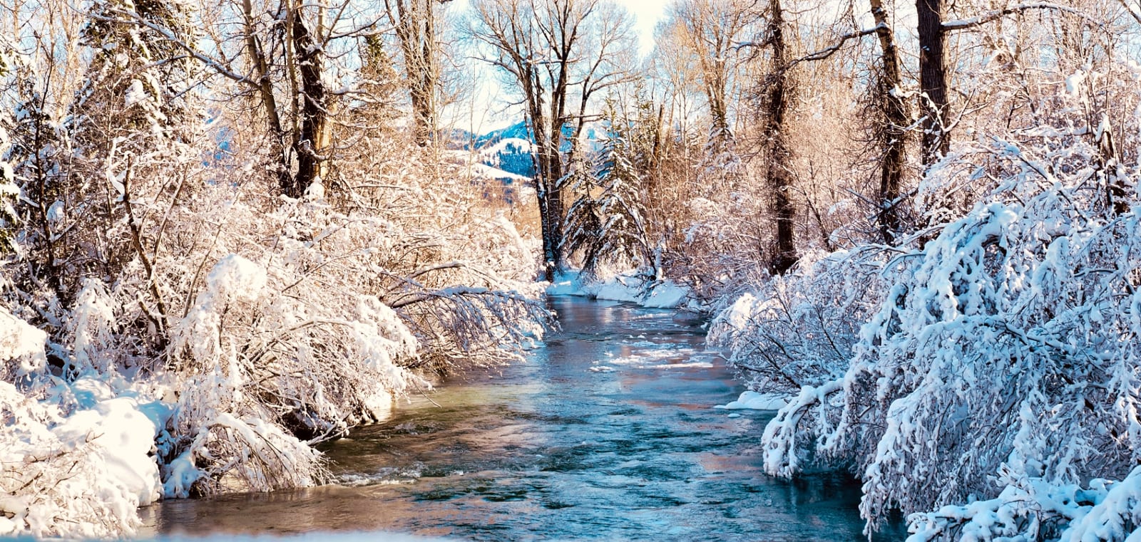 Winter Creek